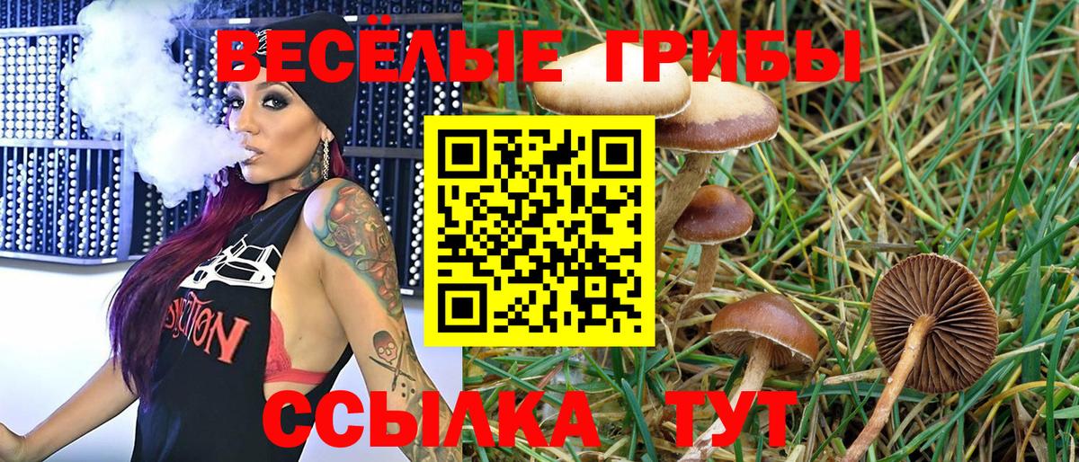 Галлюциногенные грибы GOLDEN TEACHER Кизилюрт